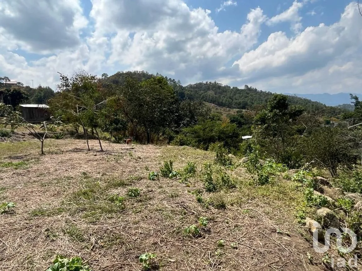 Terreno en Venta en Ocosingo Centro, Ocosingo, Chiapas | NEX-229479 | iad México | Foto 3 de 8