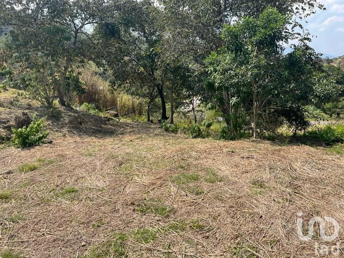 Terreno en Venta en Ocosingo Centro, Ocosingo, Chiapas | NEX-229479 | iad México | Foto 6 de 8