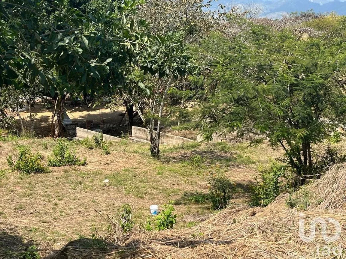 Terreno en Venta en Ocosingo Centro, Ocosingo, Chiapas | NEX-229479 | iad México | Foto 7 de 8