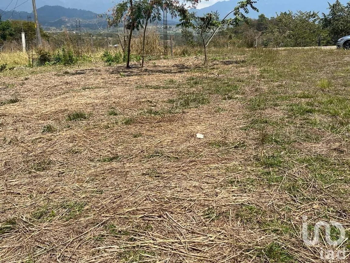Terreno en Venta en Ocosingo Centro, Ocosingo, Chiapas | NEX-229479 | iad México | Foto 8 de 8