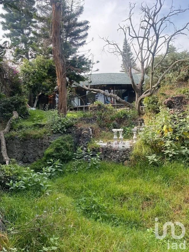 Terreno en Venta en Jardines del Pedregal, Álvaro Obregón, Ciudad de México | NEX-232119 | iad México | Foto 5 de 5