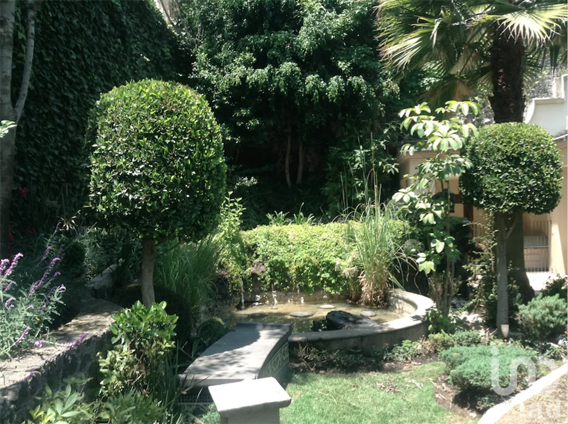 Casa en Venta en Jardines del Pedregal, Álvaro Obregón, Ciudad de México | NEX-232123 | iad México | Foto 16 de 19
