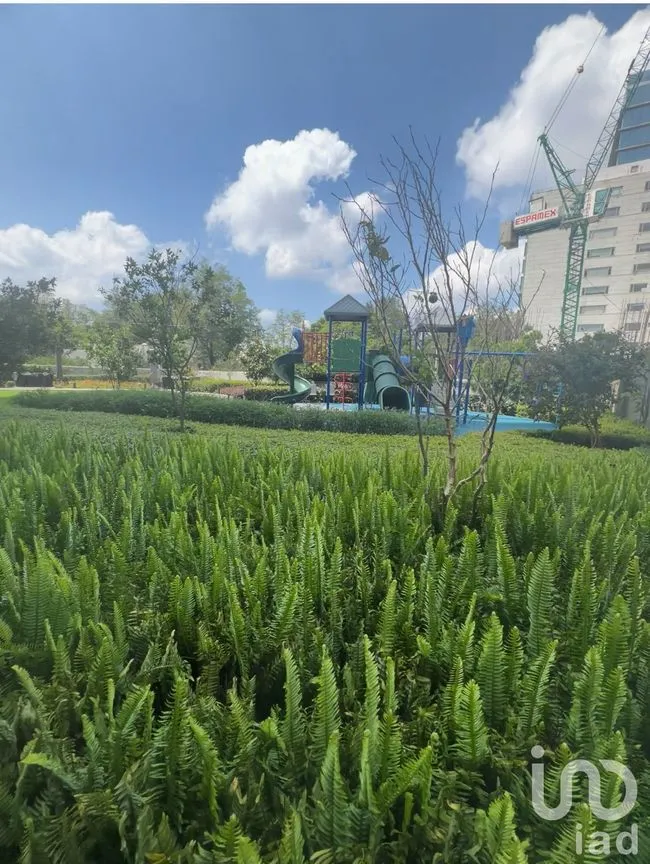 Departamento en Venta en Los Alpes, Álvaro Obregón, Ciudad de México | NEX-232125 | iad México | Foto 14 de 20