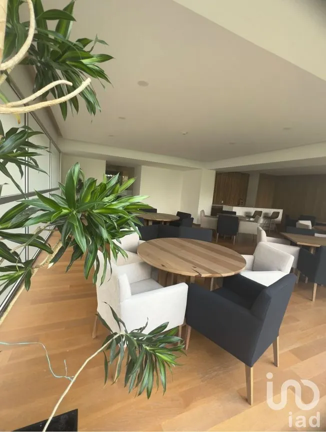 Departamento en Venta en Los Alpes, Álvaro Obregón, Ciudad de México | NEX-232125 | iad México | Foto 8 de 20