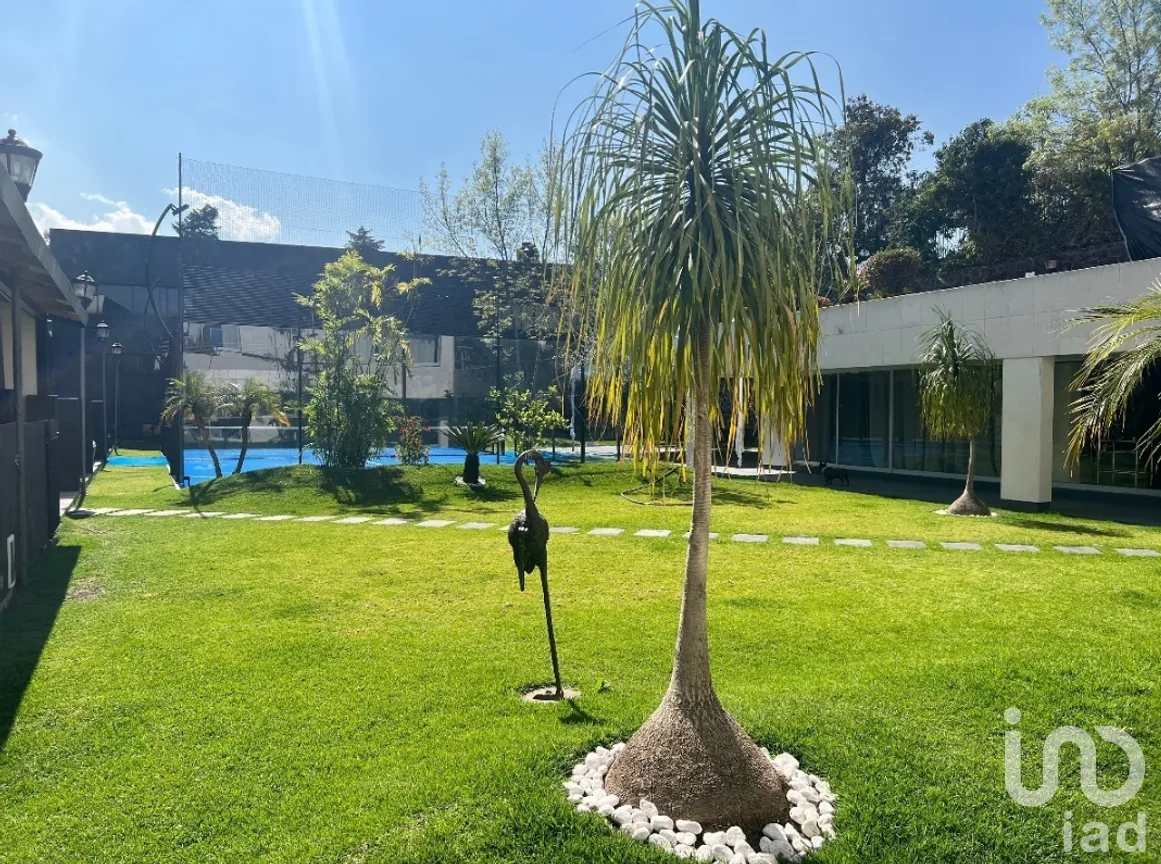 Casa en Venta en Jardines del Pedregal, Álvaro Obregón, Ciudad de México | NEX-271083 | iad México | Foto 3 de 26