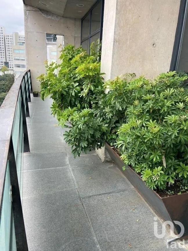 Departamento en Venta en Santa Fe Cuajimalpa, Cuajimalpa de Morelos, Ciudad de México | NEX-276931 | iad México | Foto 34 de 34