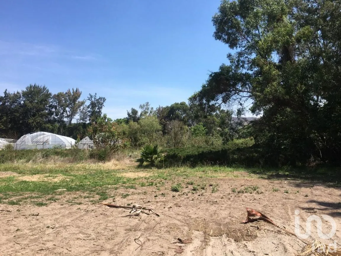 Terreno en Venta en San Antonio, Tlajomulco de Zúñiga, Jalisco | NEX-276572 | iad México | Foto 2 de 29
