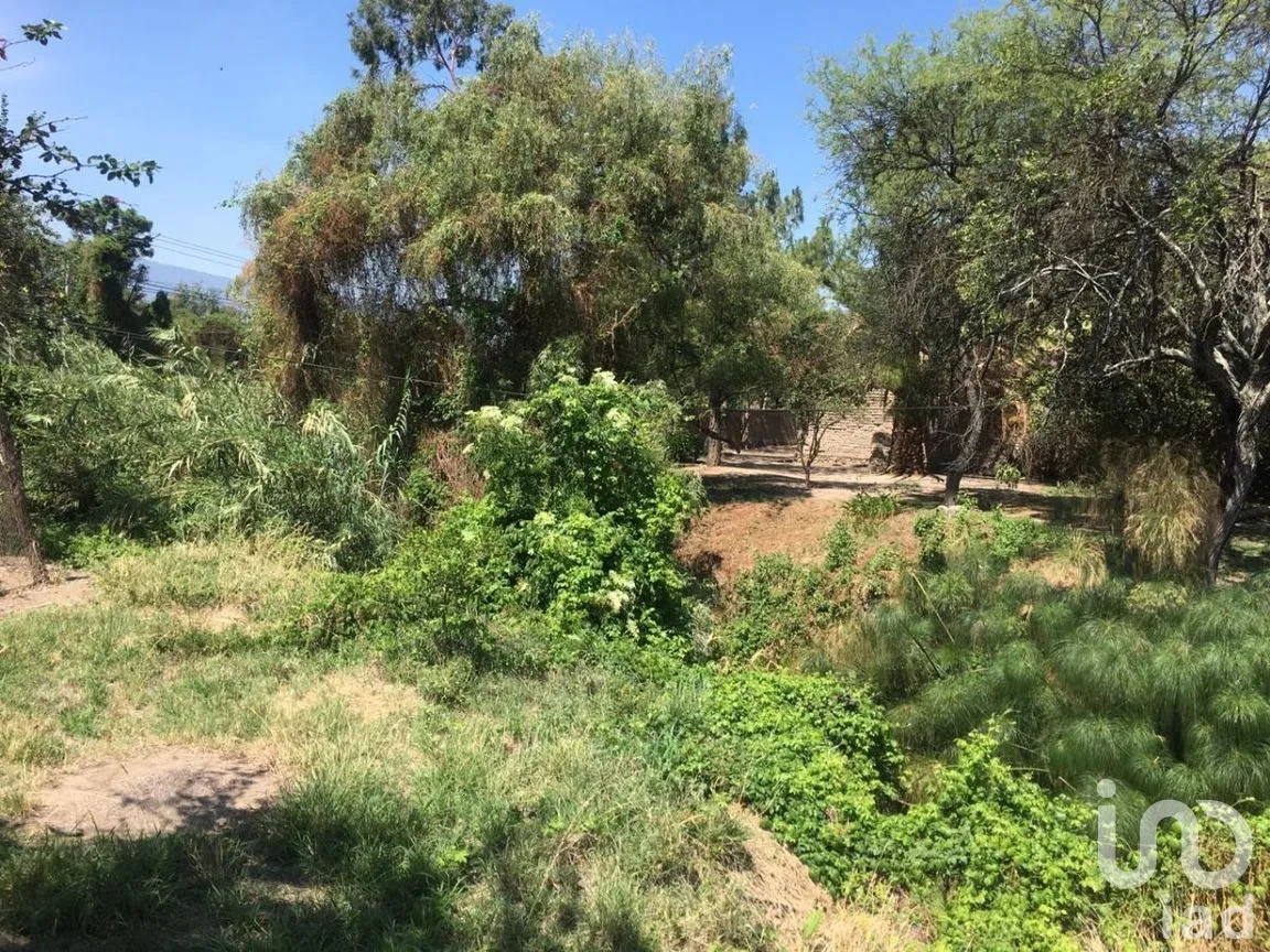 Terreno en Venta en San Antonio, Tlajomulco de Zúñiga, Jalisco | NEX-276572 | iad México | Foto 11 de 29