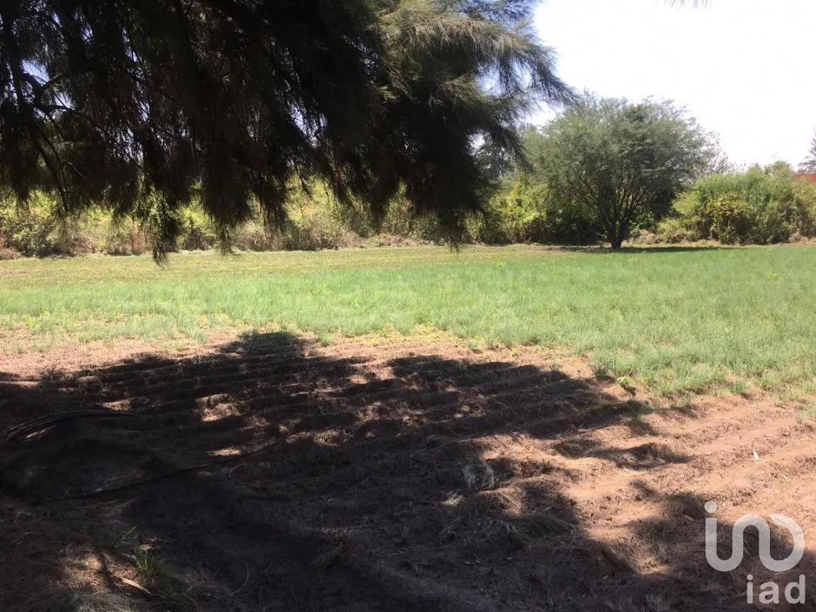 Terreno en Venta en San Antonio, Tlajomulco de Zúñiga, Jalisco | NEX-276572 | iad México | Foto 13 de 29