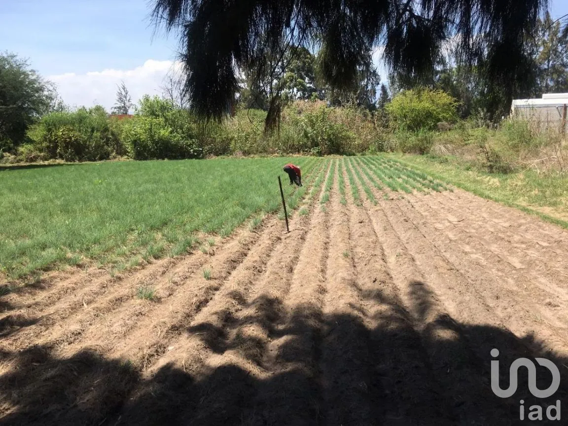 Terreno en Venta en San Antonio, Tlajomulco de Zúñiga, Jalisco | NEX-276572 | iad México | Foto 14 de 29