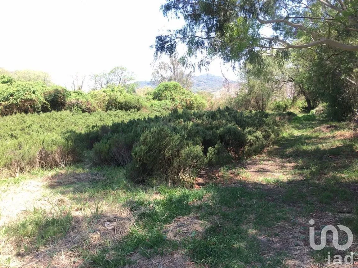 Terreno en Venta en San Antonio, Tlajomulco de Zúñiga, Jalisco | NEX-276572 | iad México | Foto 15 de 29