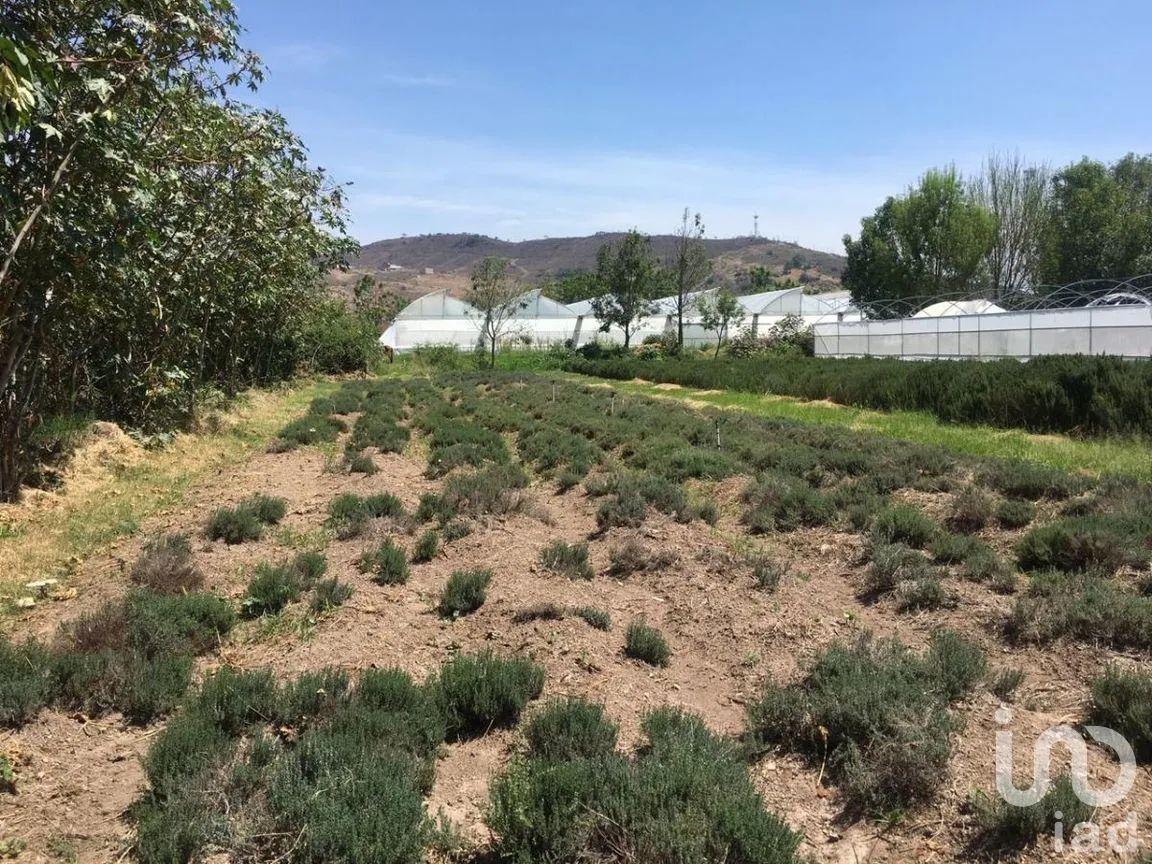 Terreno en Venta en San Antonio, Tlajomulco de Zúñiga, Jalisco | NEX-276572 | iad México | Foto 16 de 29