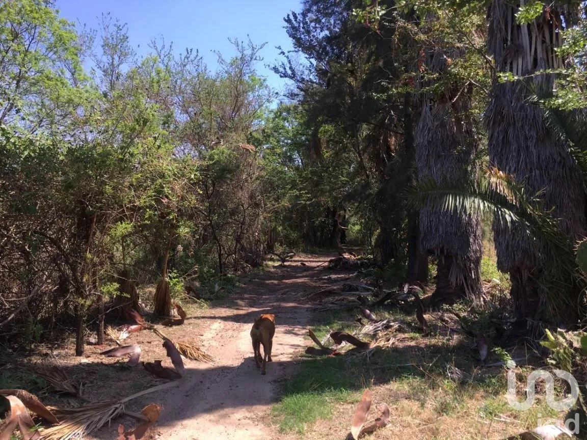 Terreno en Venta en San Antonio, Tlajomulco de Zúñiga, Jalisco | NEX-276572 | iad México | Foto 17 de 29