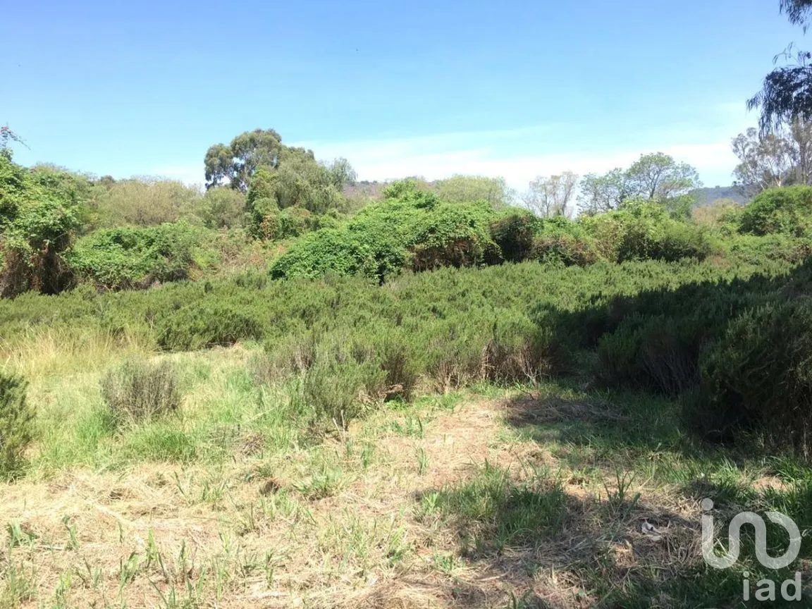 Terreno en Venta en San Antonio, Tlajomulco de Zúñiga, Jalisco | NEX-276572 | iad México | Foto 18 de 29