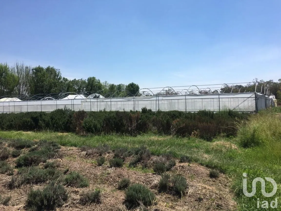 Terreno en Venta en San Antonio, Tlajomulco de Zúñiga, Jalisco | NEX-276572 | iad México | Foto 19 de 29