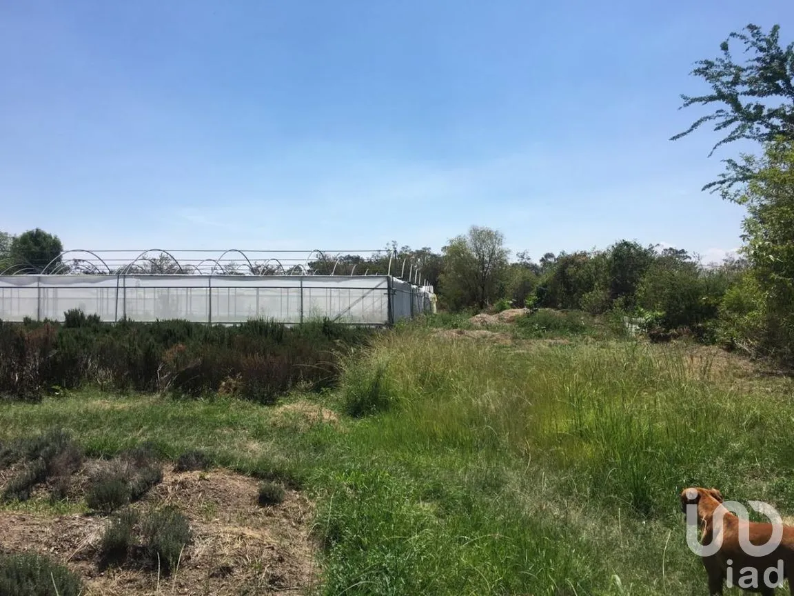 Terreno en Venta en San Antonio, Tlajomulco de Zúñiga, Jalisco | NEX-276572 | iad México | Foto 21 de 29