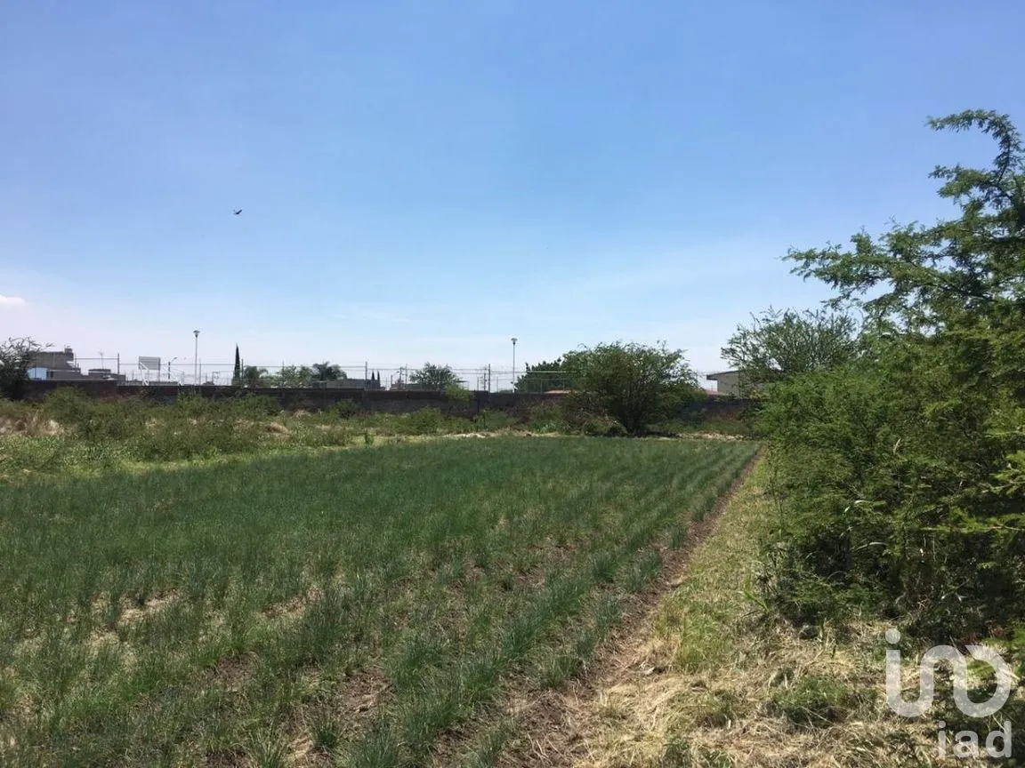 Terreno en Venta en San Antonio, Tlajomulco de Zúñiga, Jalisco | NEX-276572 | iad México | Foto 25 de 29