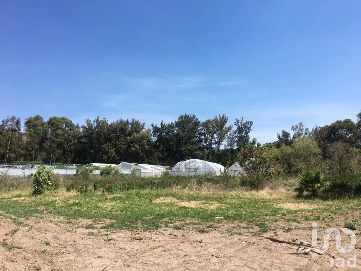 Terreno en Venta en San Antonio, Tlajomulco de Zúñiga, Jalisco | NEX-276572 | iad México | Foto 4 de 29