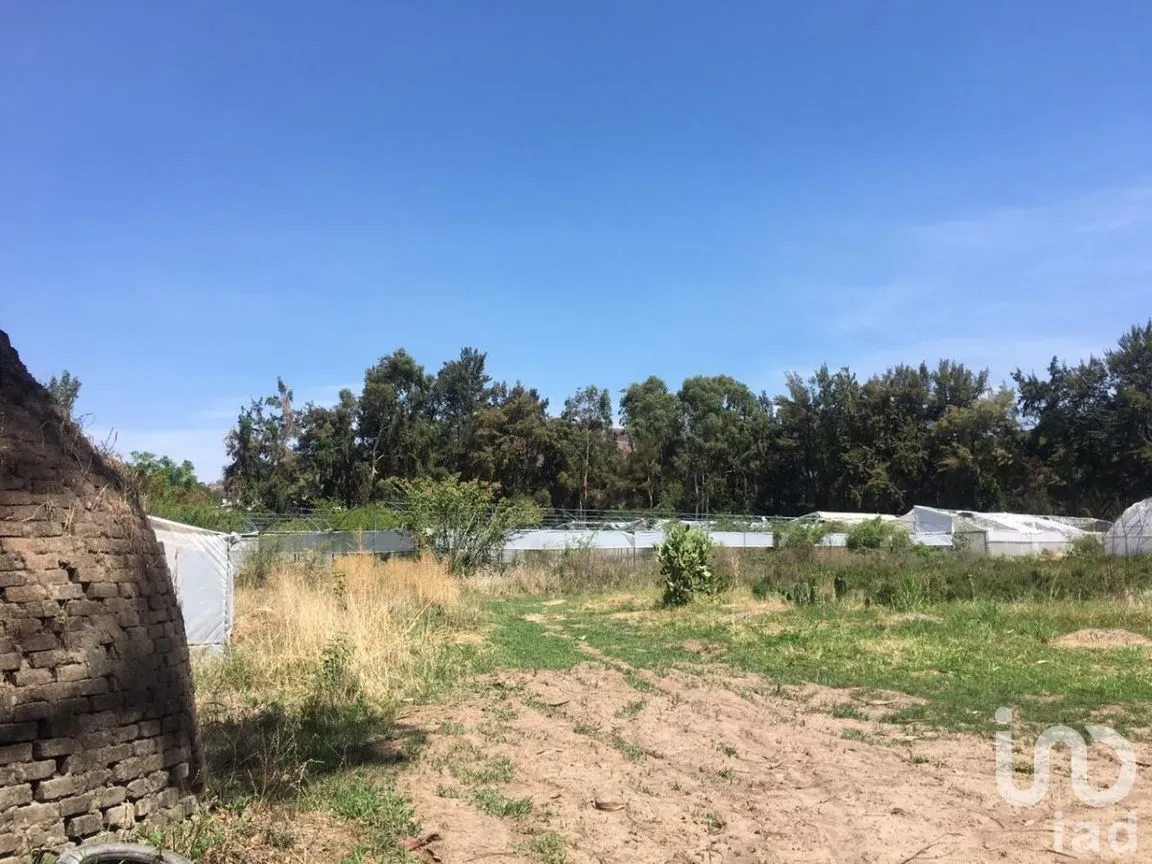 Terreno en Venta en San Antonio, Tlajomulco de Zúñiga, Jalisco | NEX-276572 | iad México | Foto 5 de 29