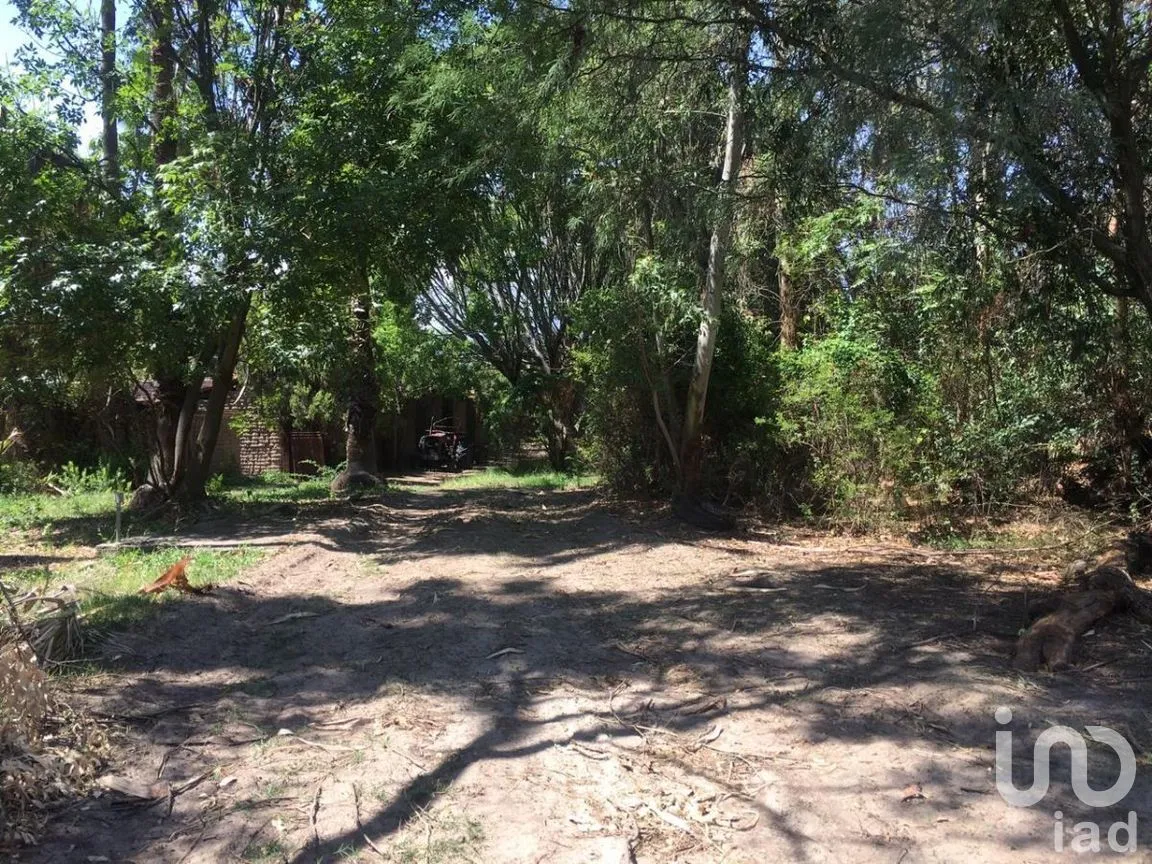 Terreno en Venta en San Antonio, Tlajomulco de Zúñiga, Jalisco | NEX-276572 | iad México | Foto 7 de 29