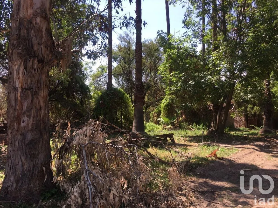 Terreno en Venta en San Antonio, Tlajomulco de Zúñiga, Jalisco | NEX-276572 | iad México | Foto 8 de 29