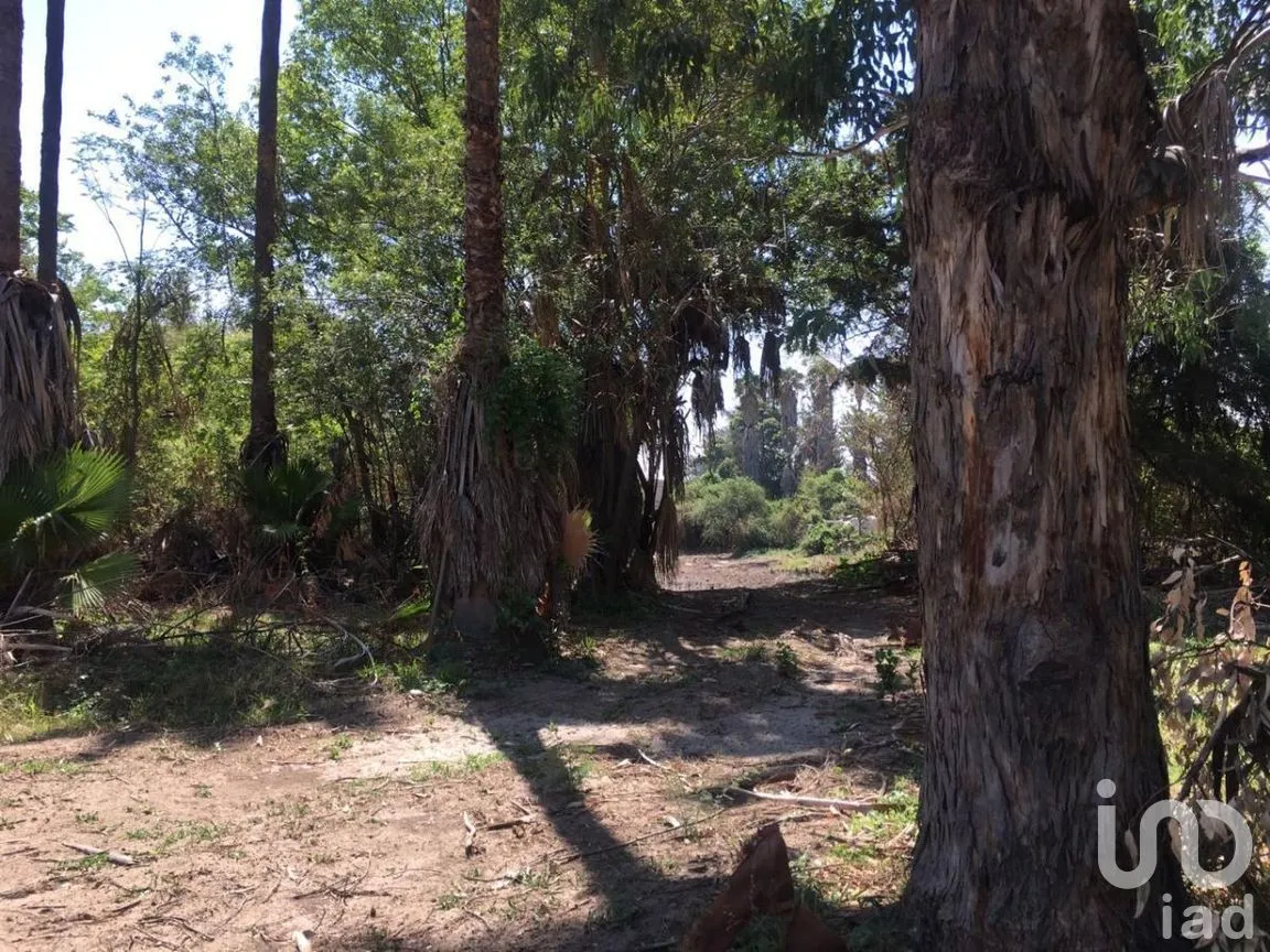 Terreno en Venta en San Antonio, Tlajomulco de Zúñiga, Jalisco | NEX-276572 | iad México | Foto 9 de 29