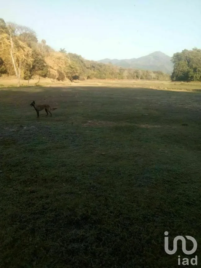 Terreno en Venta en Tomatlan, Tomatlán, Jalisco | NEX-276575 | iad México | Foto 2 de 30