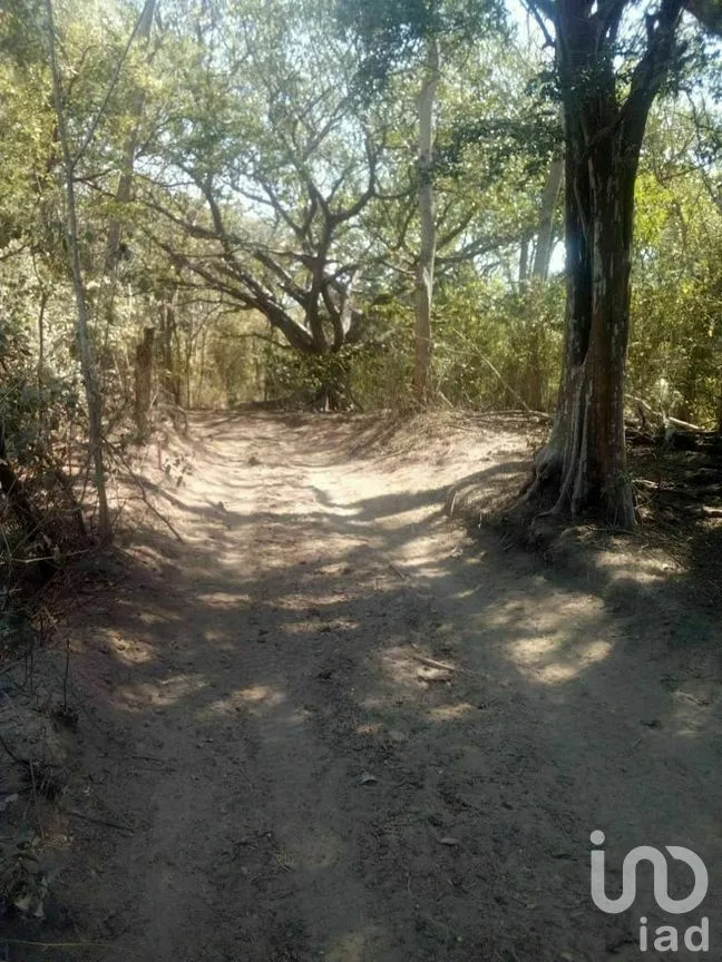 Terreno en Venta en Tomatlan, Tomatlán, Jalisco | NEX-276575 | iad México | Foto 11 de 30