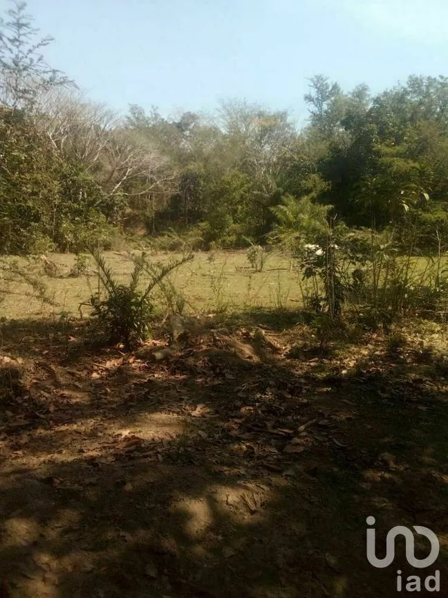Terreno en Venta en Tomatlan, Tomatlán, Jalisco | NEX-276575 | iad México | Foto 13 de 30