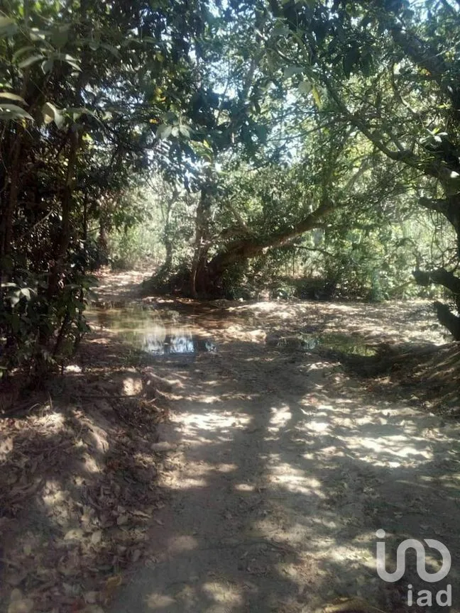 Terreno en Venta en Tomatlan, Tomatlán, Jalisco | NEX-276575 | iad México | Foto 14 de 30