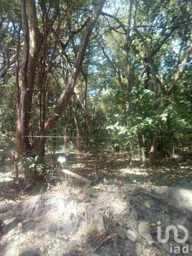 Terreno en Venta en Tomatlan, Tomatlán, Jalisco | NEX-276575 | iad México | Foto 15 de 30