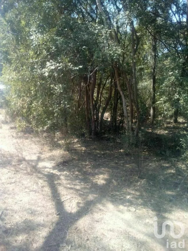 Terreno en Venta en Tomatlan, Tomatlán, Jalisco | NEX-276575 | iad México | Foto 16 de 30