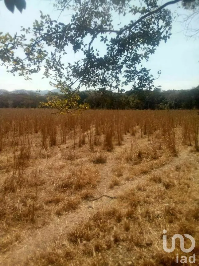 Terreno en Venta en Tomatlan, Tomatlán, Jalisco | NEX-276575 | iad México | Foto 17 de 30