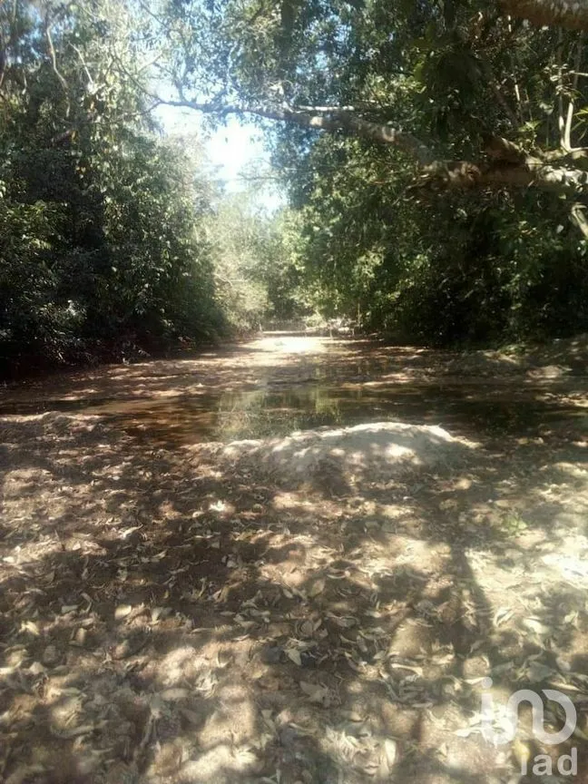 Terreno en Venta en Tomatlan, Tomatlán, Jalisco | NEX-276575 | iad México | Foto 18 de 30