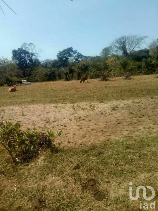 Terreno en Venta en Tomatlan, Tomatlán, Jalisco | NEX-276575 | iad México | Foto 19 de 30