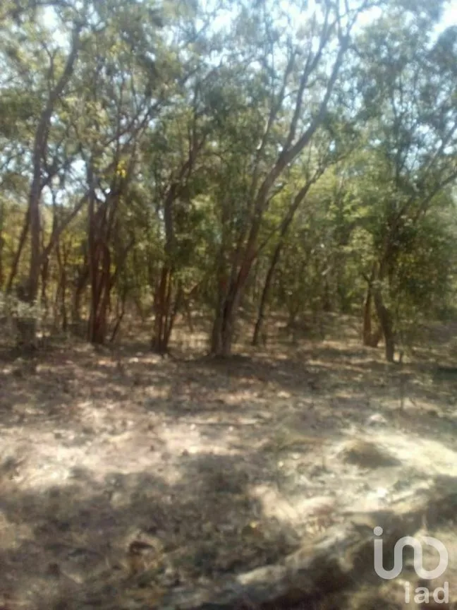 Terreno en Venta en Tomatlan, Tomatlán, Jalisco | NEX-276575 | iad México | Foto 20 de 30