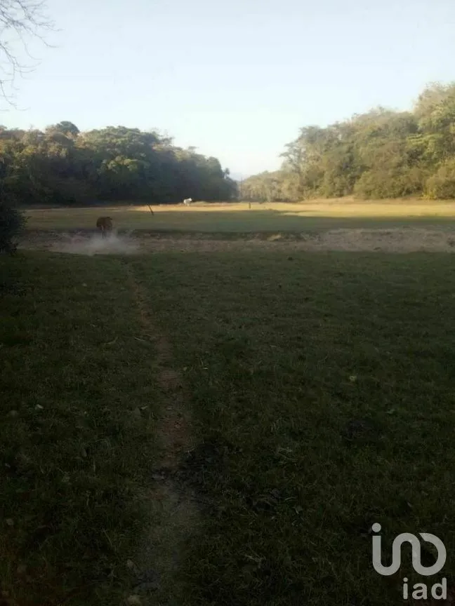 Terreno en Venta en Tomatlan, Tomatlán, Jalisco | NEX-276575 | iad México | Foto 3 de 30