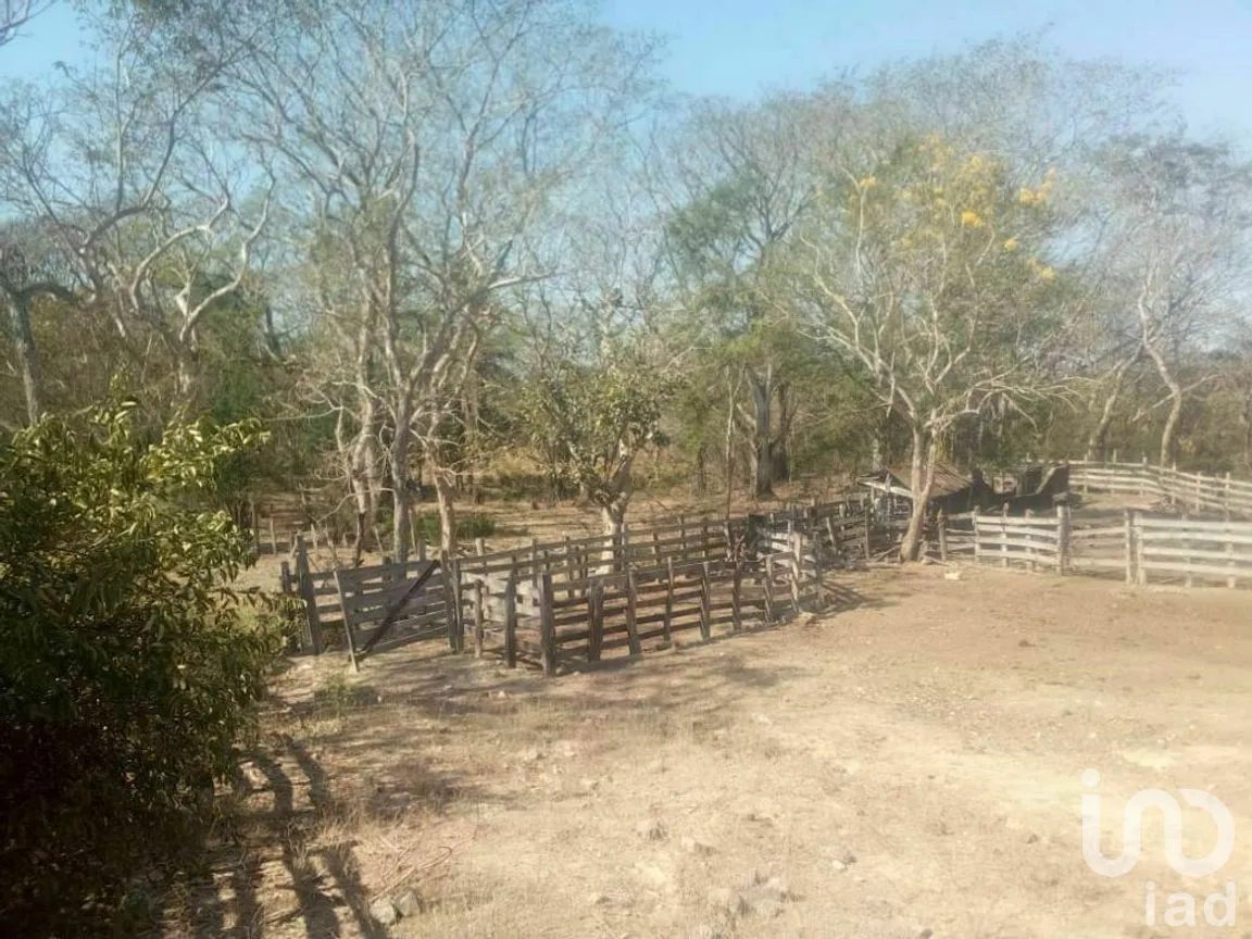 Terreno en Venta en Tomatlan, Tomatlán, Jalisco | NEX-276575 | iad México | Foto 21 de 30