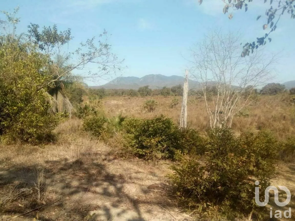 Terreno en Venta en Tomatlan, Tomatlán, Jalisco | NEX-276575 | iad México | Foto 22 de 30