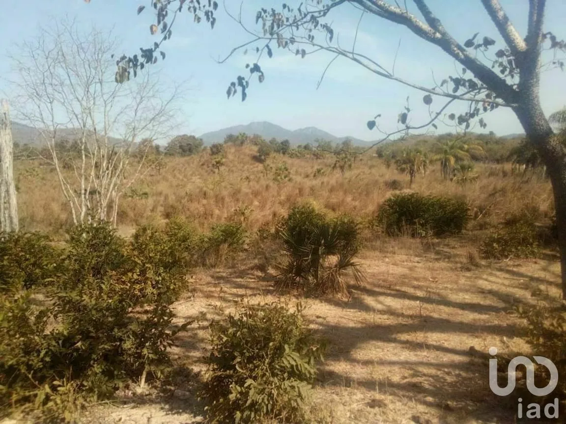 Terreno en Venta en Tomatlan, Tomatlán, Jalisco | NEX-276575 | iad México | Foto 23 de 30