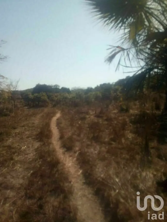 Terreno en Venta en Tomatlan, Tomatlán, Jalisco | NEX-276575 | iad México | Foto 24 de 30
