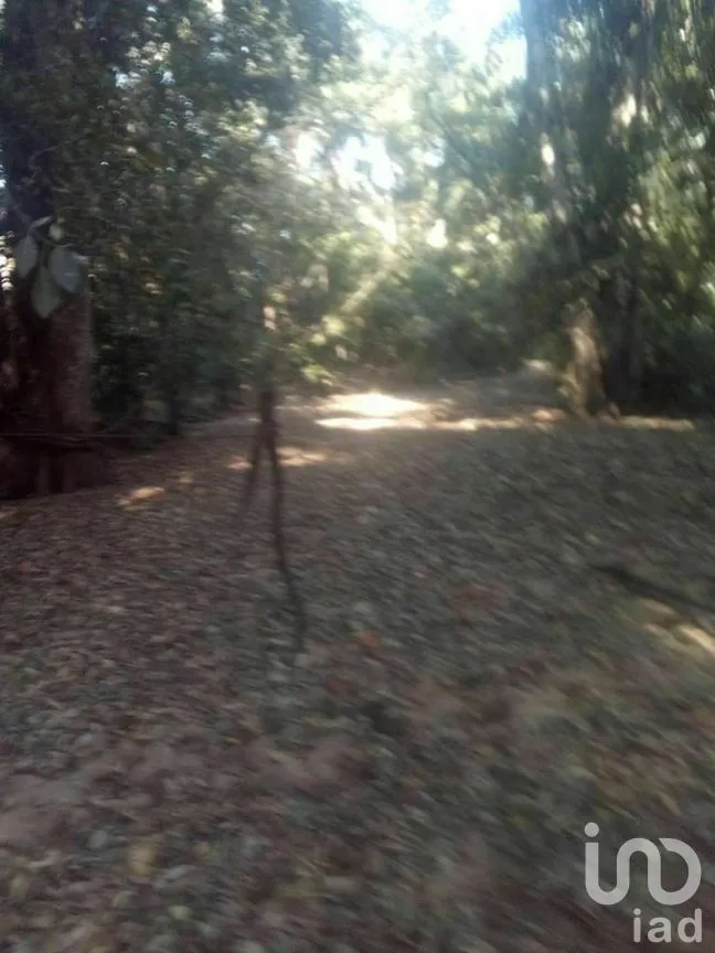 Terreno en Venta en Tomatlan, Tomatlán, Jalisco | NEX-276575 | iad México | Foto 25 de 30