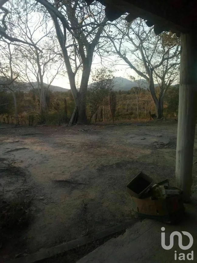 Terreno en Venta en Tomatlan, Tomatlán, Jalisco | NEX-276575 | iad México | Foto 26 de 30