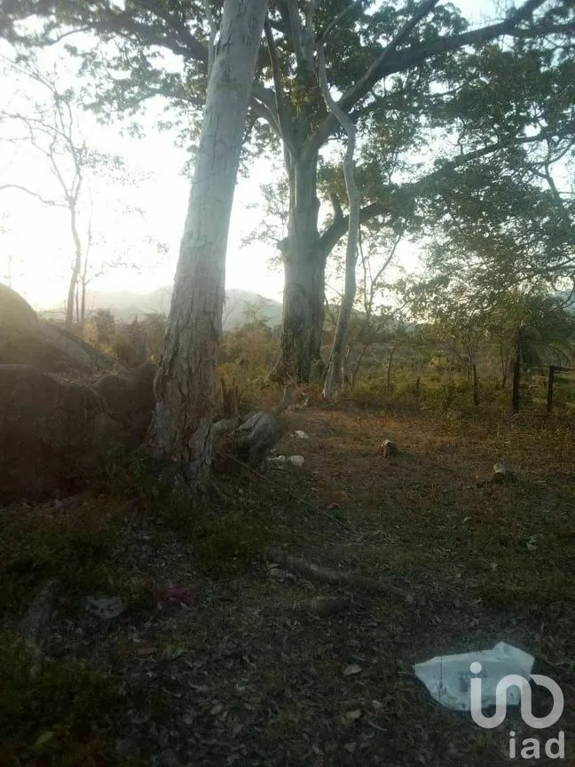 Terreno en Venta en Tomatlan, Tomatlán, Jalisco | NEX-276575 | iad México | Foto 28 de 30