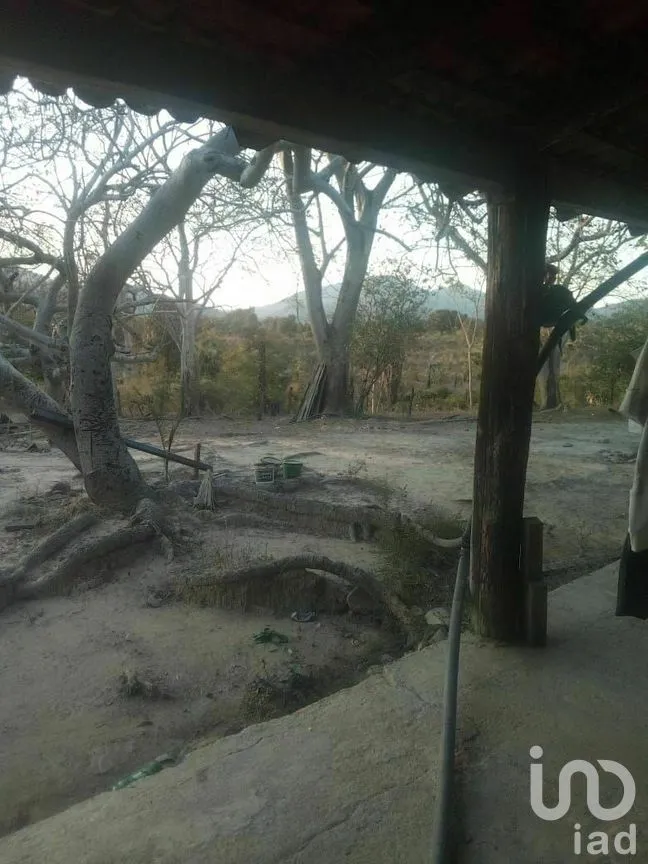 Terreno en Venta en Tomatlan, Tomatlán, Jalisco | NEX-276575 | iad México | Foto 30 de 30