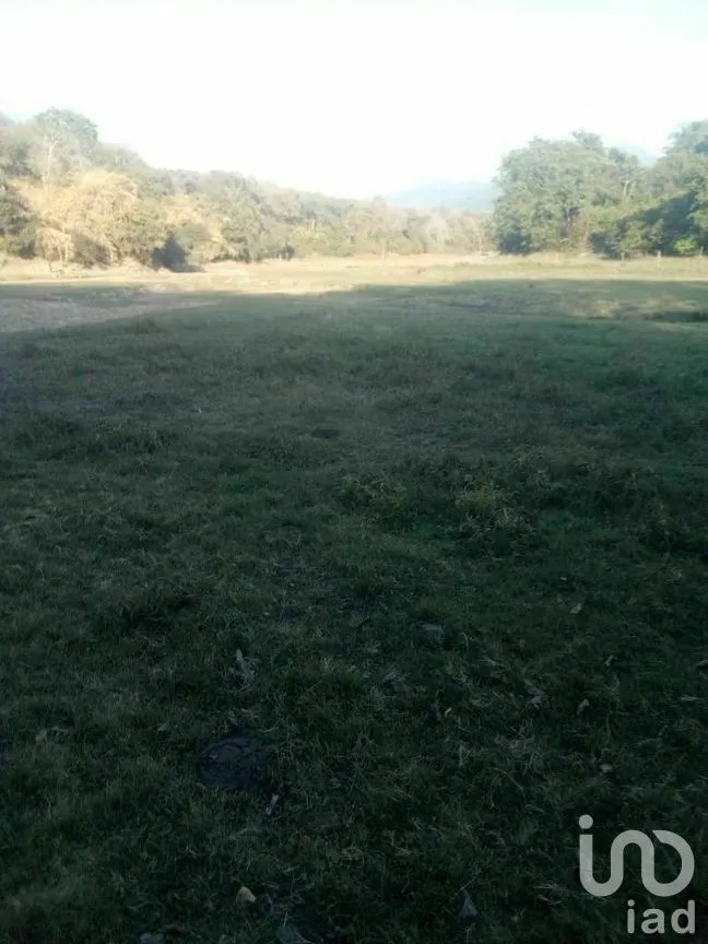 Terreno en Venta en Tomatlan, Tomatlán, Jalisco | NEX-276575 | iad México | Foto 4 de 30