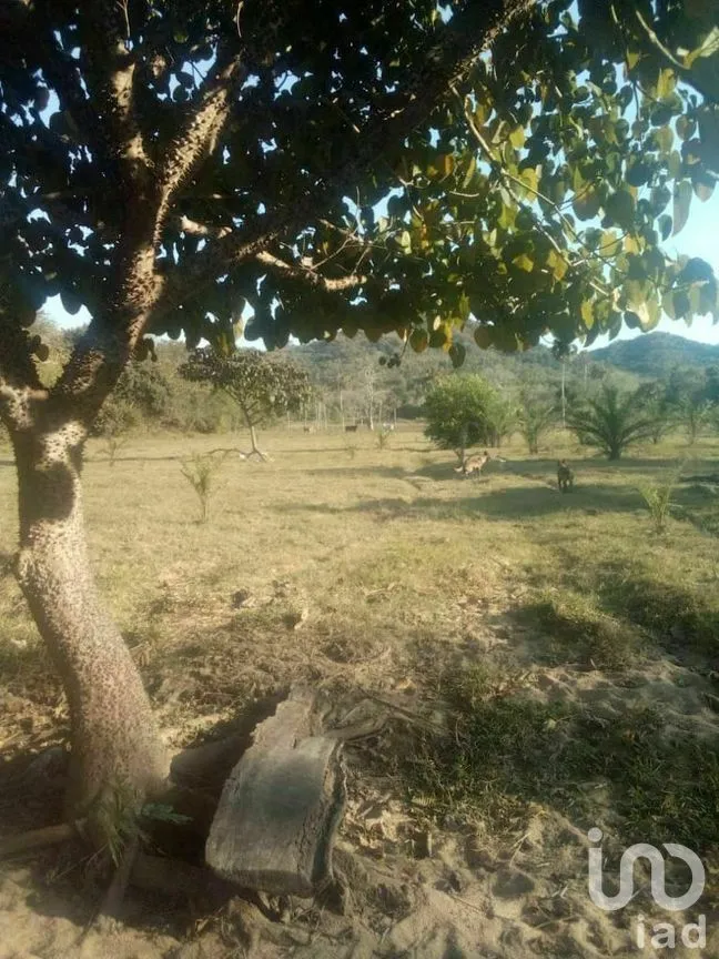 Terreno en Venta en Tomatlan, Tomatlán, Jalisco | NEX-276575 | iad México | Foto 5 de 30