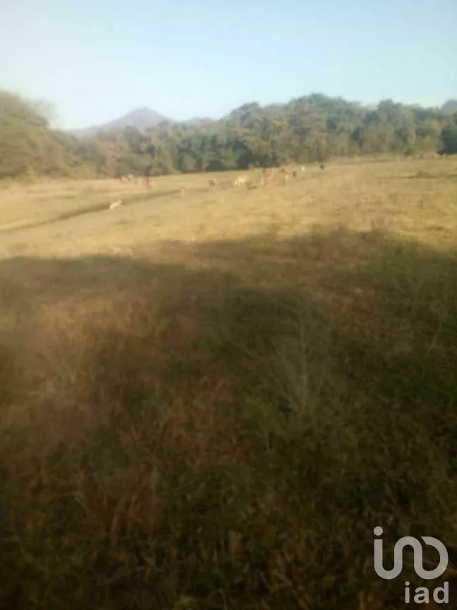 Terreno en Venta en Tomatlan, Tomatlán, Jalisco | NEX-276575 | iad México | Foto 6 de 30