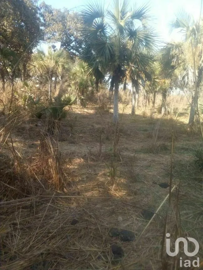 Terreno en Venta en Tomatlan, Tomatlán, Jalisco | NEX-276575 | iad México | Foto 8 de 30