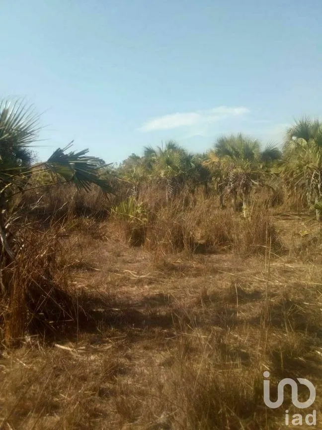 Terreno en Venta en Tomatlan, Tomatlán, Jalisco | NEX-276575 | iad México | Foto 9 de 30